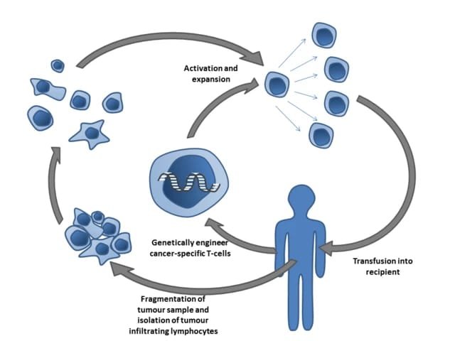 Skin cancer treatment options its Side effect & Prevention