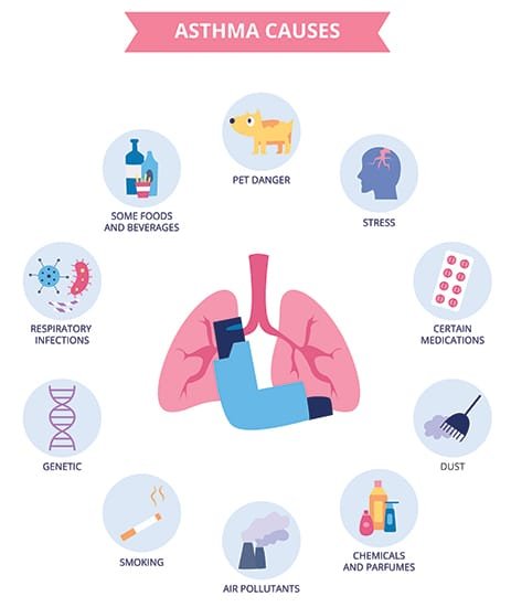 What causes asthma