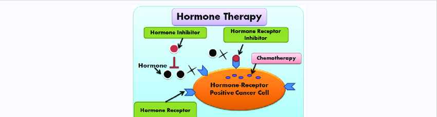 9  best types of cancer treatment