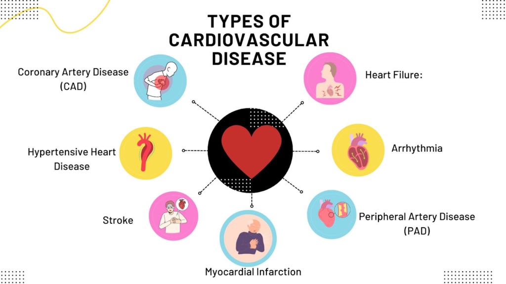 cardiovascular disease basic factors 2024