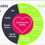 cardiovascular disease basic factors 2024