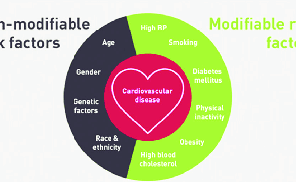 cardiovascular disease basic factors 2024